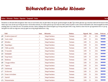 Tablet Screenshot of bokavefur.lindaros.com